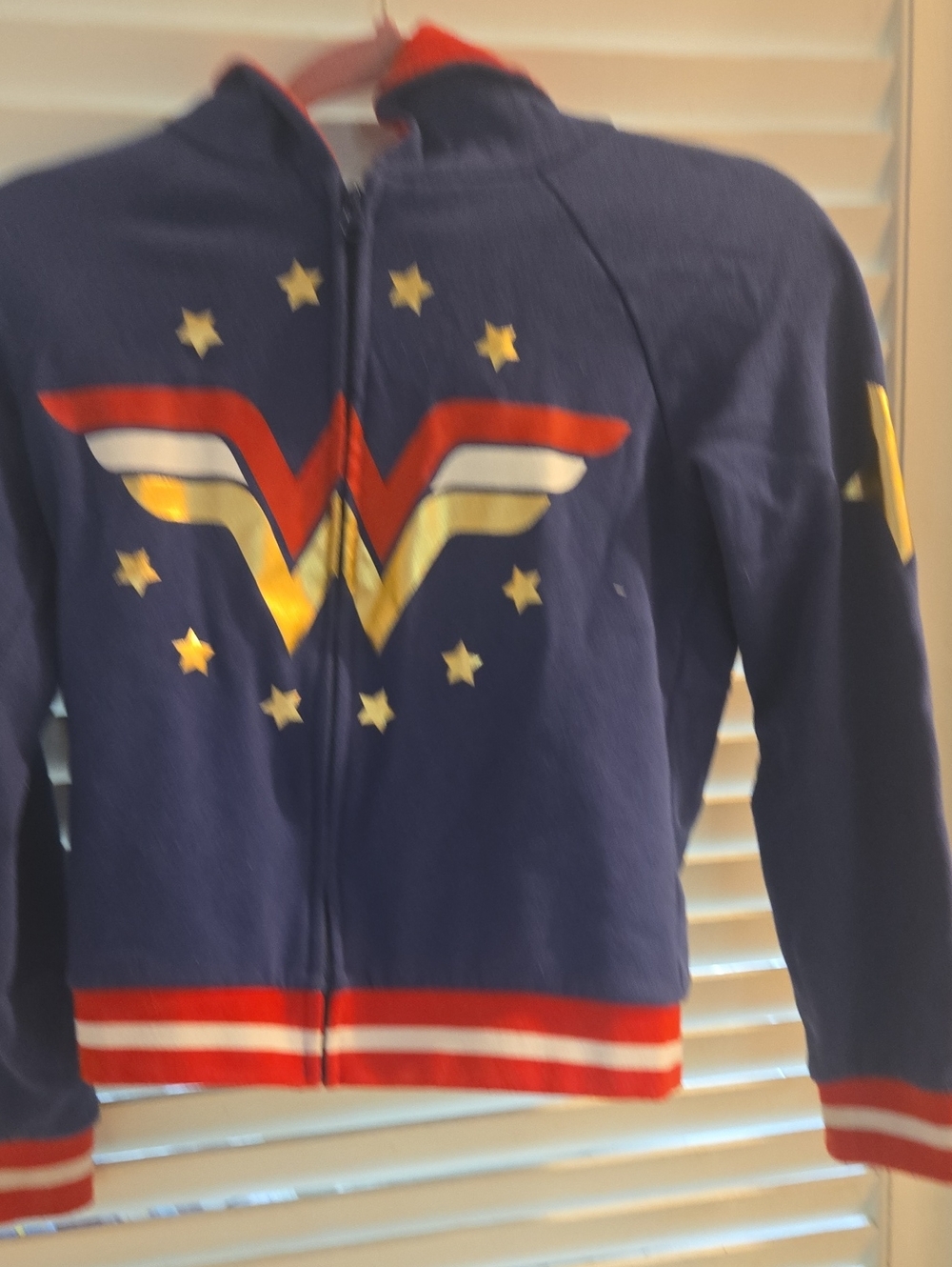 Wonder Woman Zip-Up Hoodie - Navy Blue with Red & Gold Logo